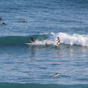 Meet your Posher, Blake